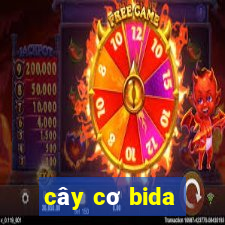 cây cơ bida