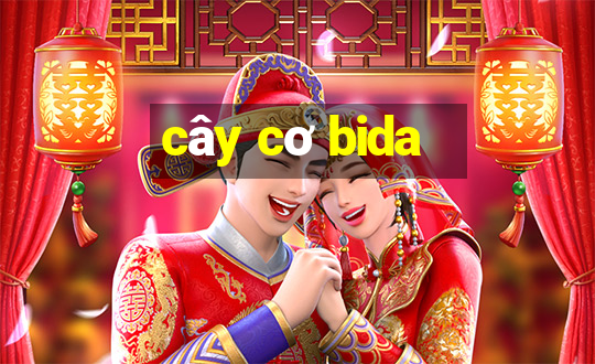 cây cơ bida