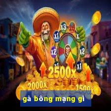 gà bông mạng gì