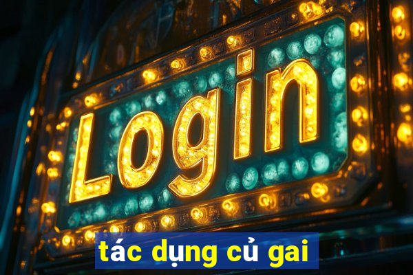 tác dụng củ gai