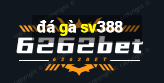 đá gà sv388