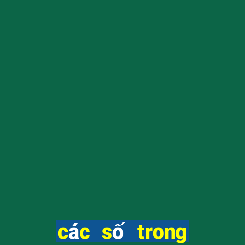 các số trong lô đề