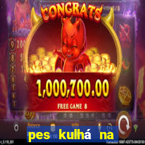 pes kulhá na přední nohu