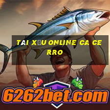 tài xỉu online ca cerro