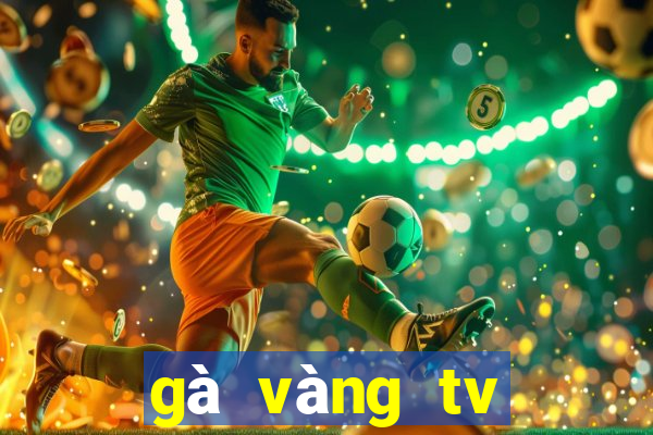 gà vàng tv trực tiếp bóng đá hôm nay