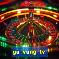 gà vàng tv trực tiếp bóng đá hôm nay