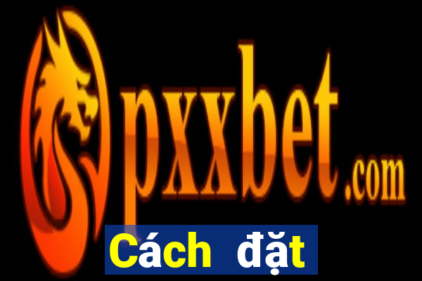 Cách đặt cược XSDTMB ngày 17