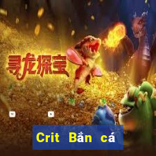 Crit Bắn cá thế nào?