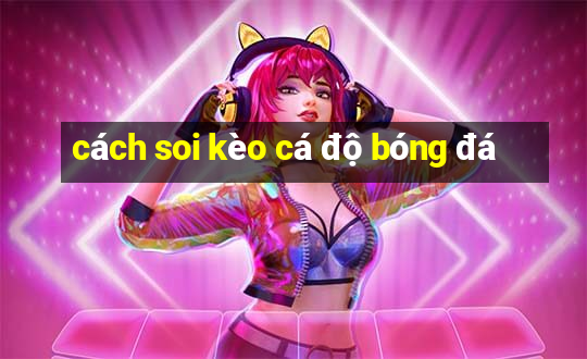 cách soi kèo cá độ bóng đá