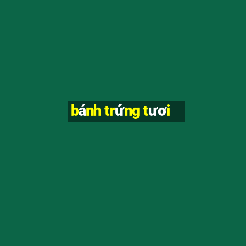 bánh trứng tươi