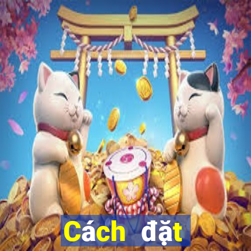 Cách đặt cược XSCT ngày 20