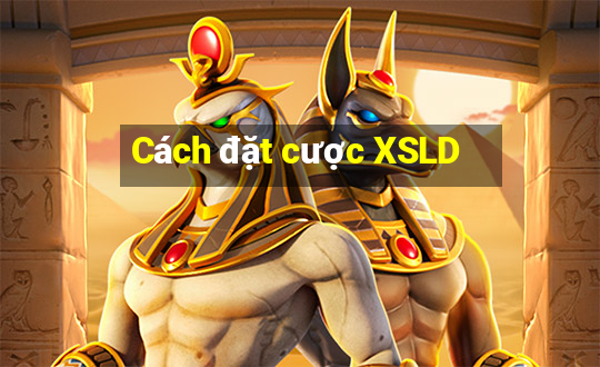 Cách đặt cược XSLD