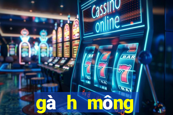 gà h mông thuần chủng