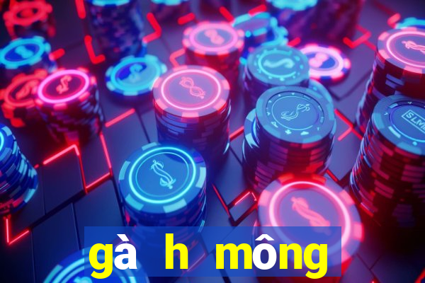 gà h mông thuần chủng