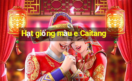 Hạt giống màu e Caitang