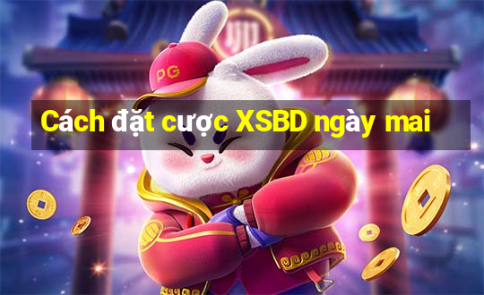 Cách đặt cược XSBD ngày mai