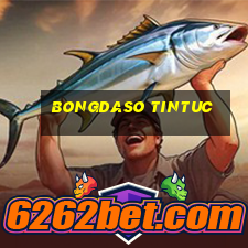 bongdaso tintuc