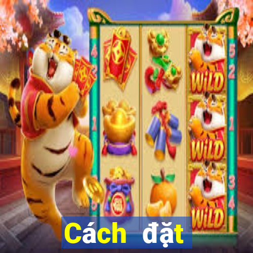 Cách đặt cược XSQT ngày thứ năm