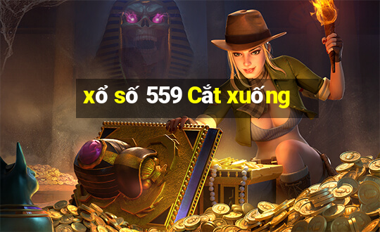 xổ số 559 Cắt xuống