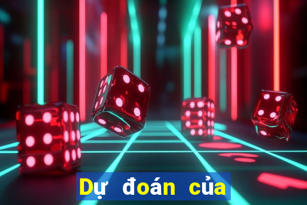 Dự đoán của chuyên gia bóng đá