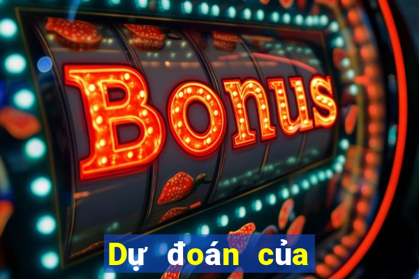 Dự đoán của chuyên gia bóng đá