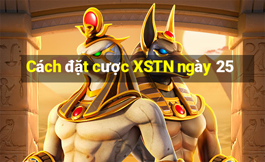 Cách đặt cược XSTN ngày 25