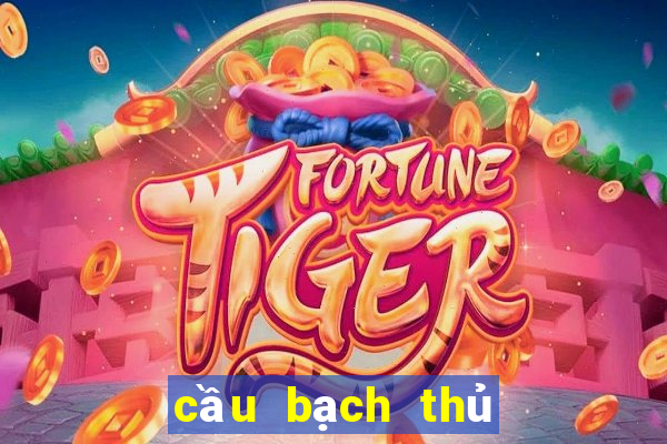 cầu bạch thủ xổ số gia lai