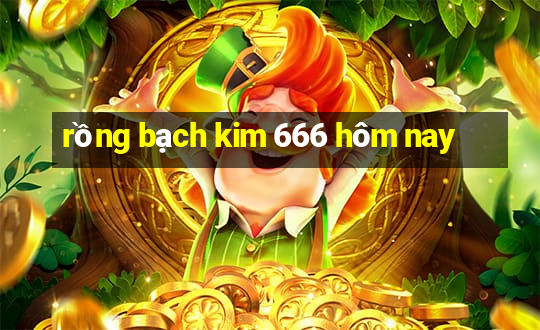 rong bach kim 666 hom nay