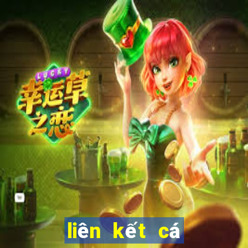 liên kết cá cược kèo bóng 88