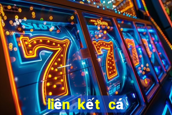 liên kết cá cược kèo bóng 88