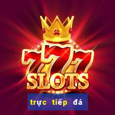 trực tiếp đá gà casino campuchia