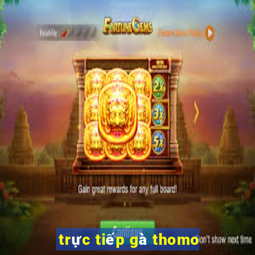 trực tiếp gà thomo