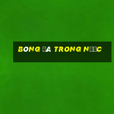 bóng đá trong nước