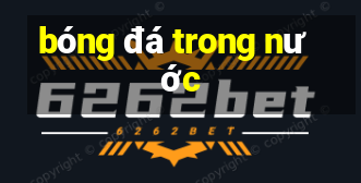 bóng đá trong nước