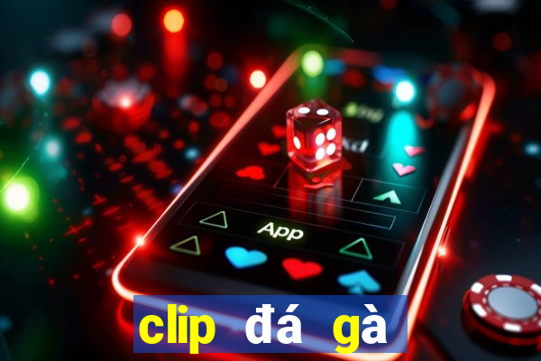 clip đá gà thomo hôm nay