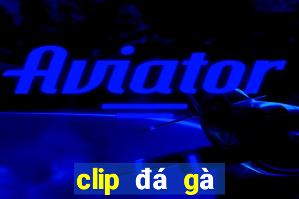 clip đá gà thomo hôm nay