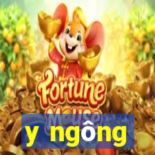 y ngông