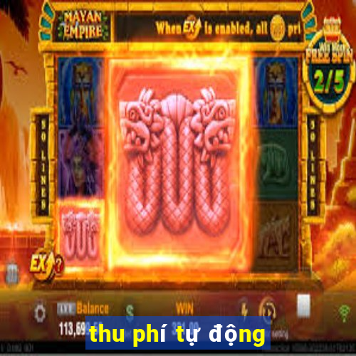 thu phí tự động