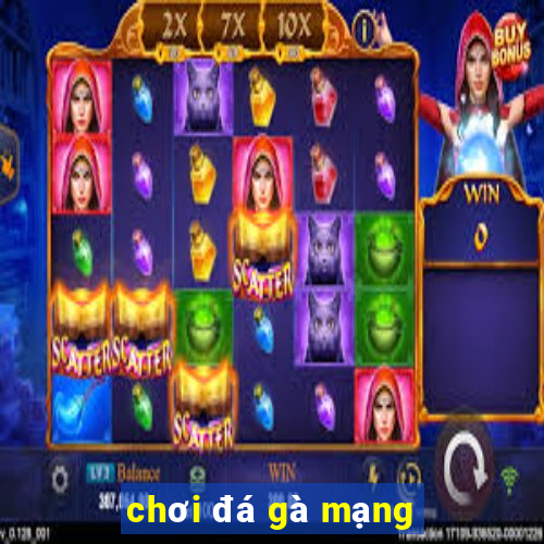 chơi đá gà mạng