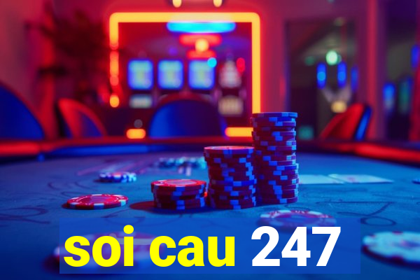 soi cau 247