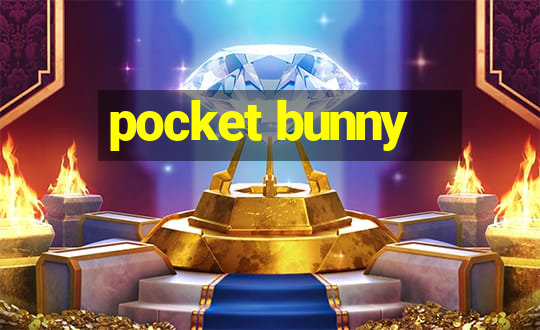 pocket bunny