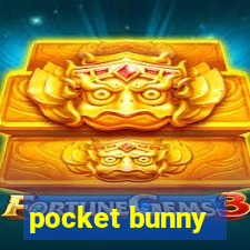 pocket bunny