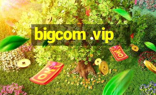 bigcom .vip