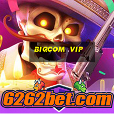 bigcom .vip