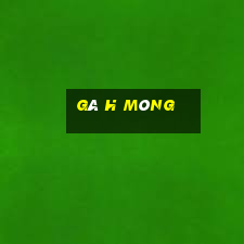 gà h mông