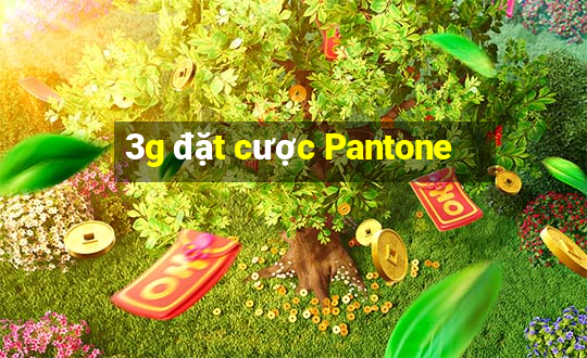 3g đặt cược Pantone