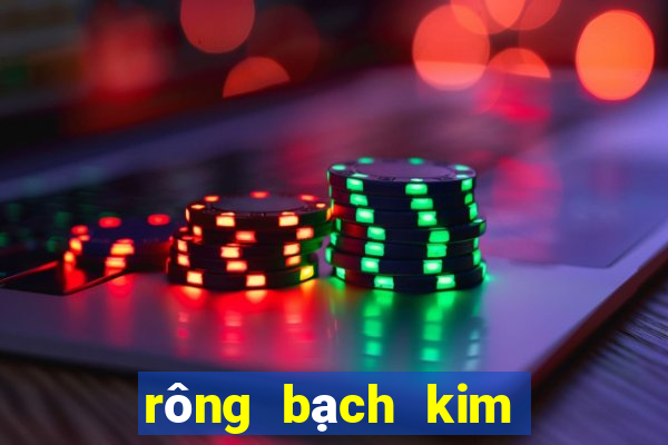 rông bạch kim thông kê