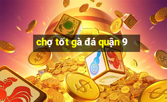 chợ tốt gà đá quận 9