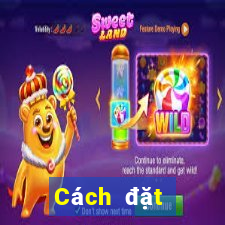 Cách đặt cược XSVL ngày 9