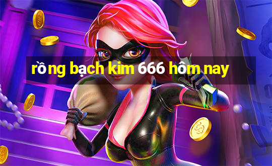 rồng bạch kim 666 hôm nay